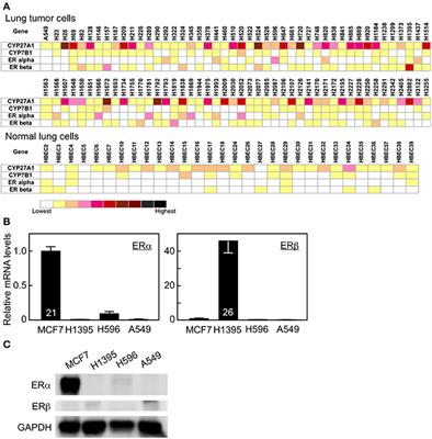 Estrogen Receptor Beta-Mediated Modulation of Lung Cancer Cell Proliferation by 27-Hydroxycholesterol